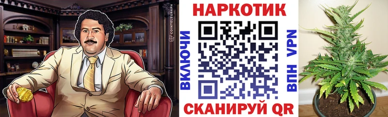Виды наркотиков купить Гремячинск Кодеин Каннабис Alpha-PVP Псилоцибиновые грибы МЕФ Гашиш