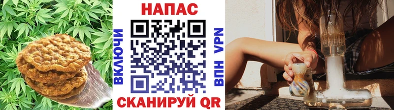 что такое наркотик  Гремячинск  Canna-Cookies конопля 